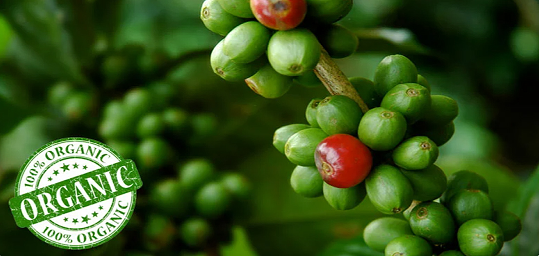 Органический кофе